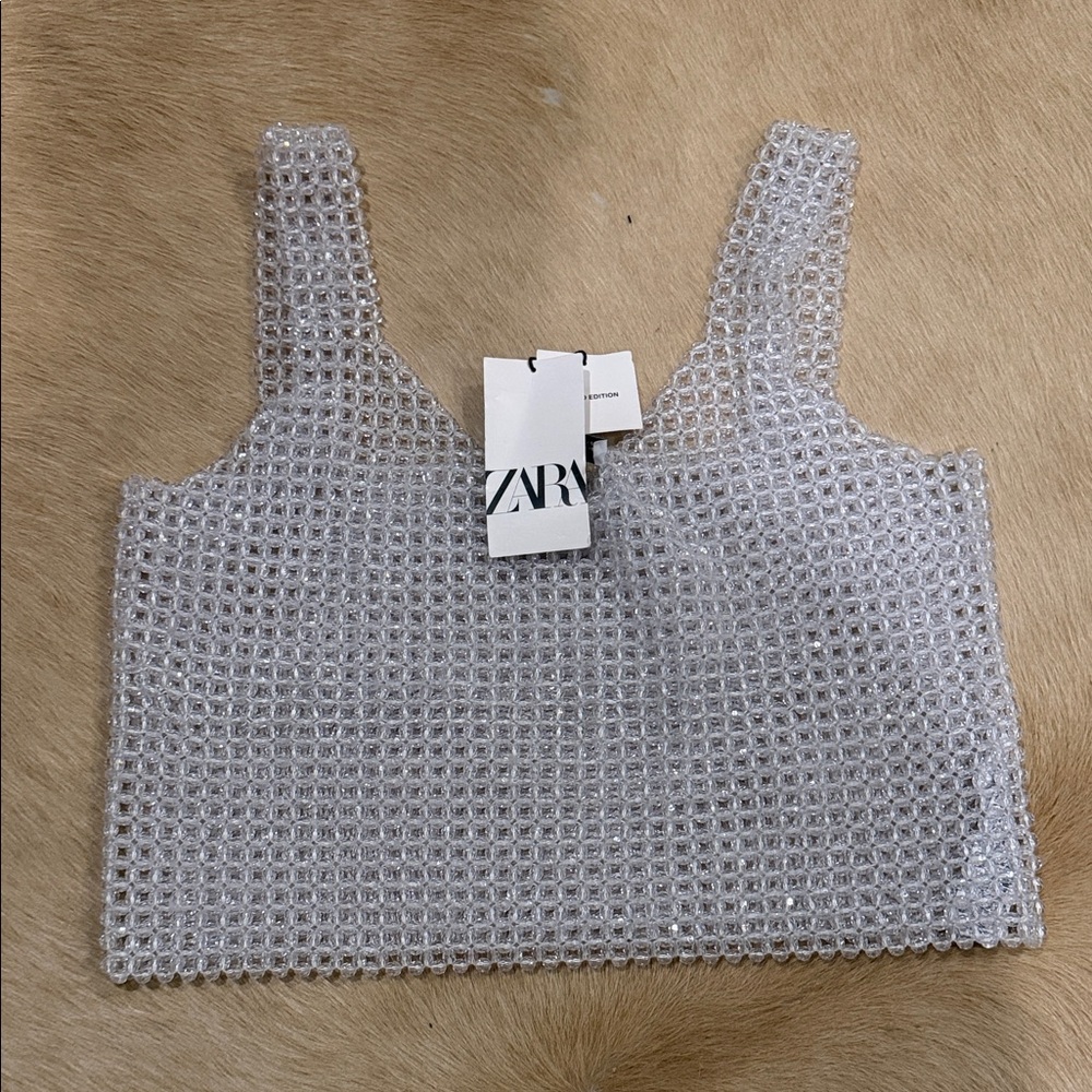 Zara Metallic Silver Mesh Crop Top